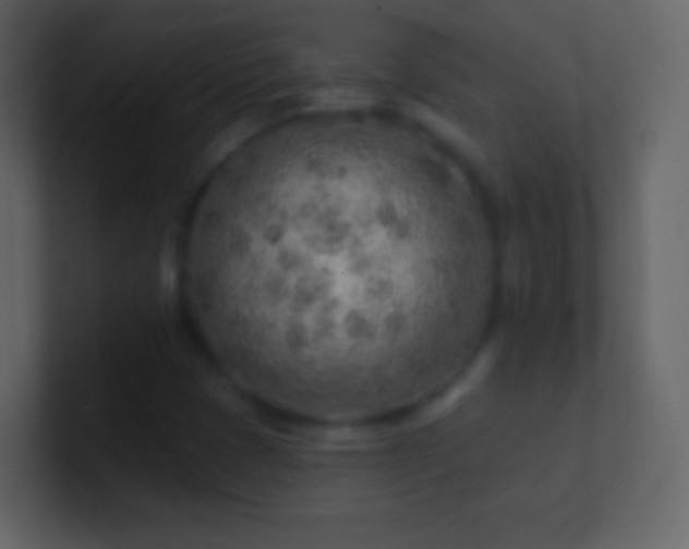 X0000101471401200807071434