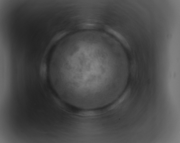X0000101471402200807071434