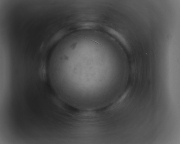 X0000101471403200807071434