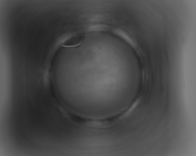 X0000101471405200807071434