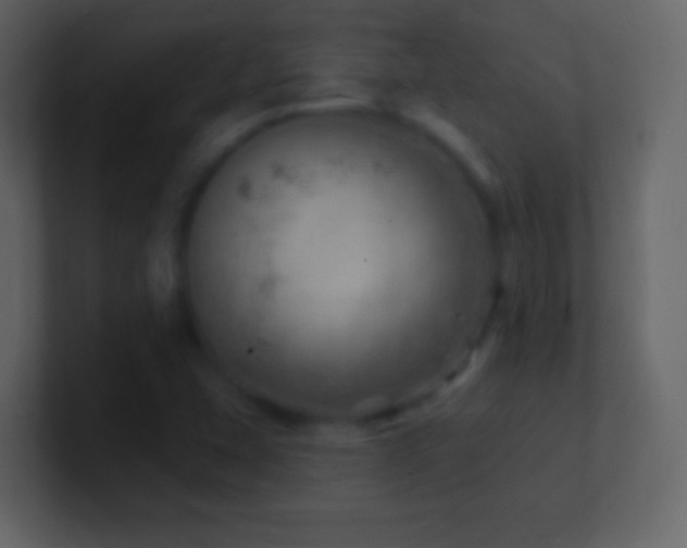 X0000101471407200807071434