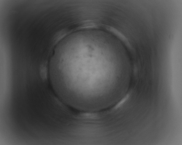 X0000101471409200807071434