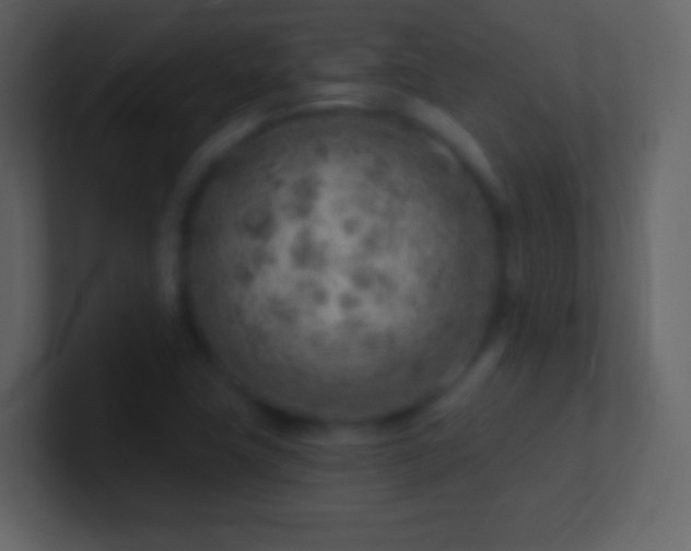 X0000101471411200807071434