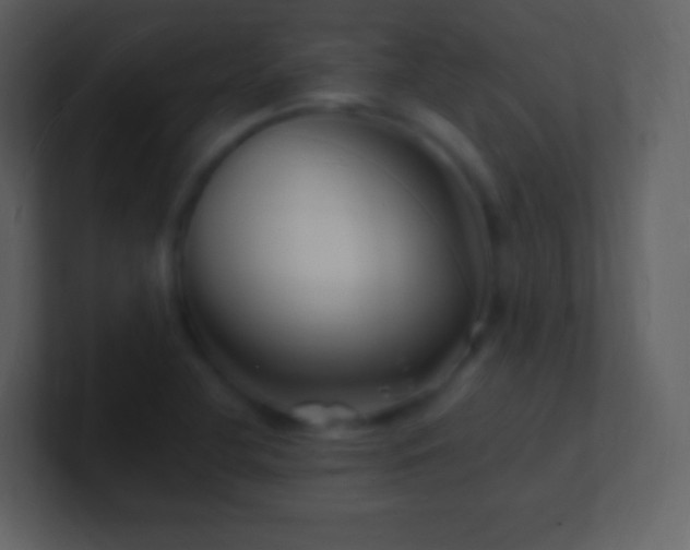 X0000101471412200807071434