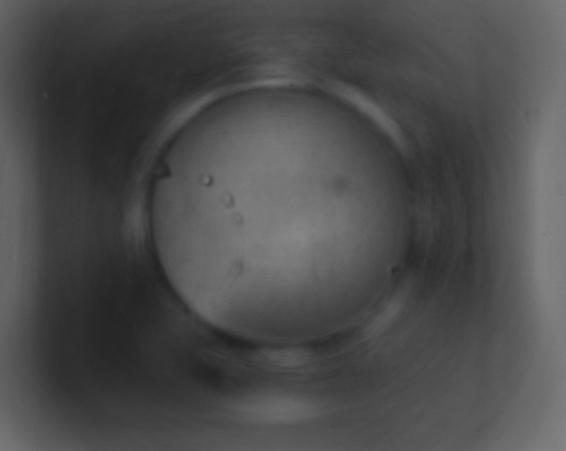 X0000101471415200807071434