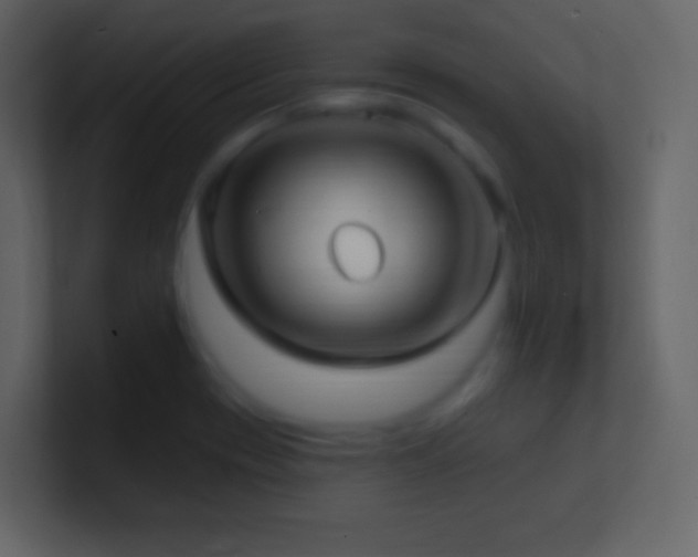 X0000101471417200807071434