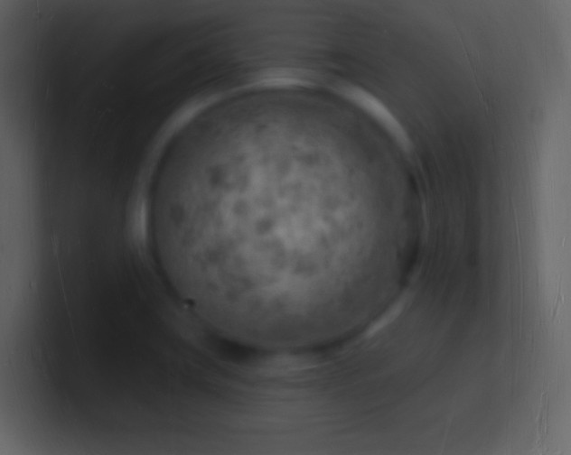 X0000101471419200807071434