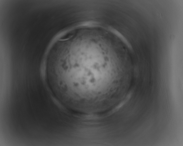 X0000101471421200807071434