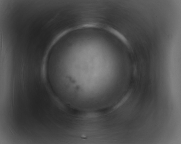 X0000101471423200807071434