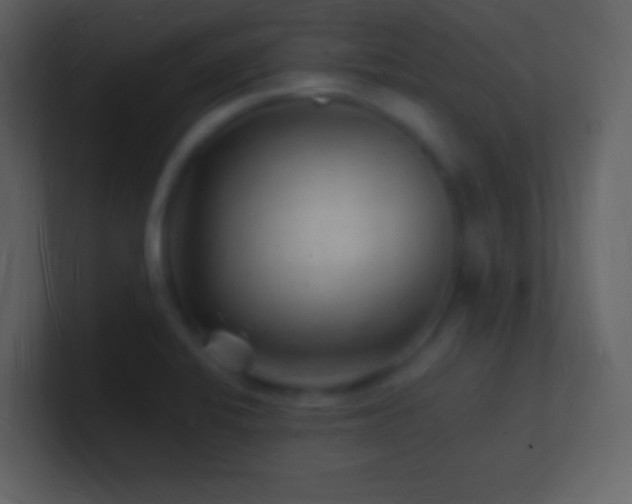 X0000101471424200807071434