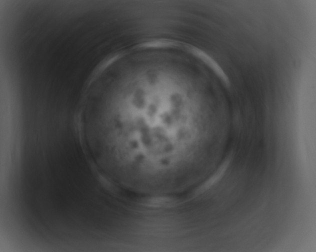 X0000101471425200807071434