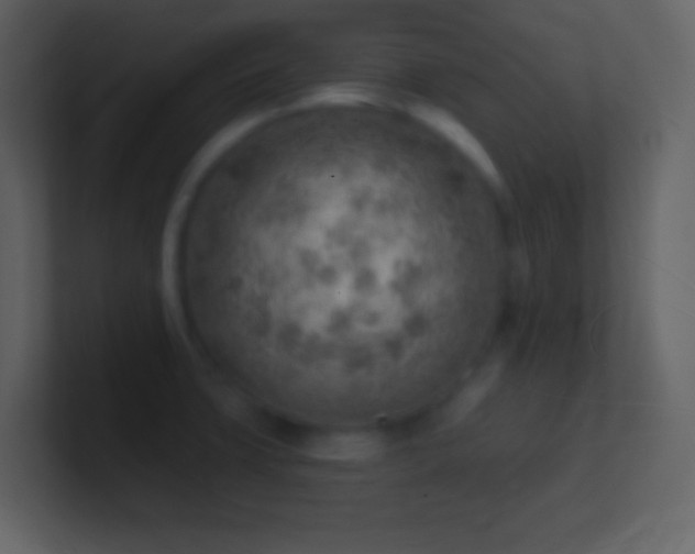 X0000101471427200807071434
