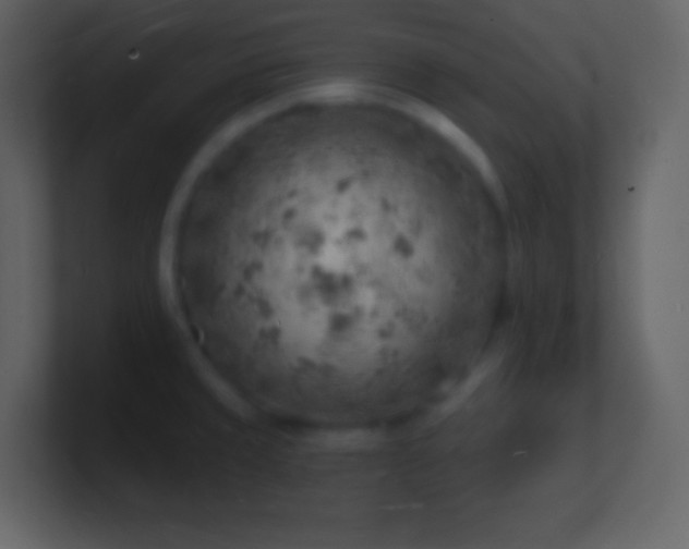 X0000101471429200807071434