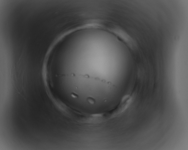 X0000101471430200807071434