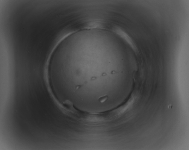X0000101471434200807071434