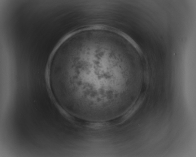 X0000101471438200807071434