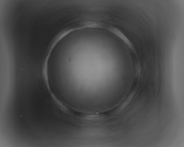 X0000101471439200807071434