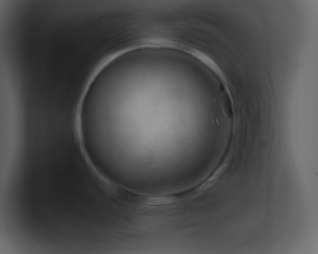 X0000101471440200807071434