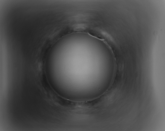 X0000101471445200807071433