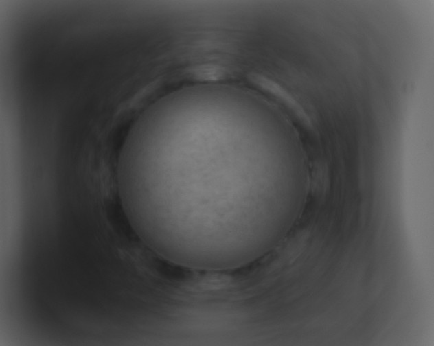 X0000101471446200807071433