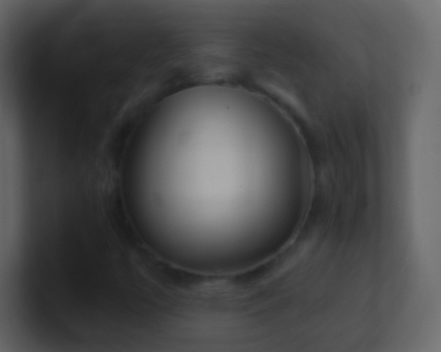 X0000101471447200807071433