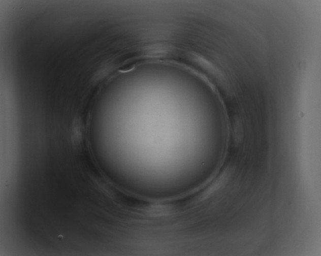X0000101471449200807071433