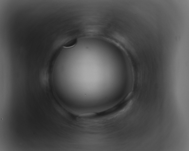 X0000101471450200807071433