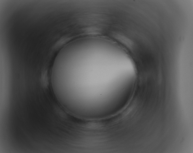 X0000101471451200807071433