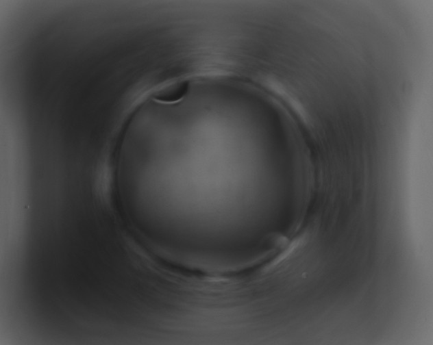 X0000101471459200807071433