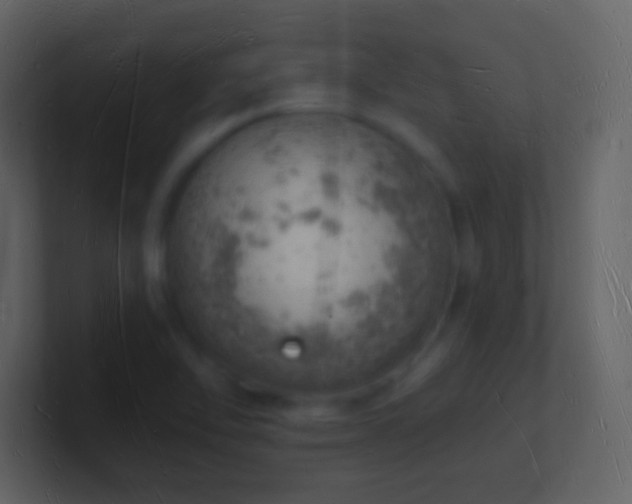 X0000101471462200807071433