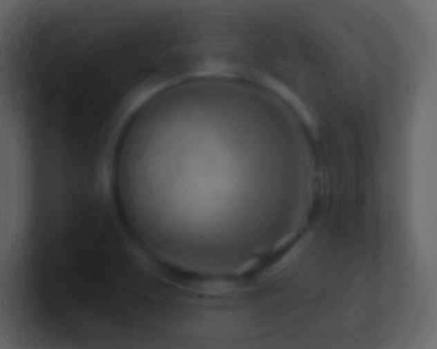 X0000101471463200807071433