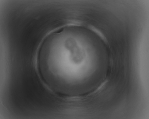 X0000101471471200807071433