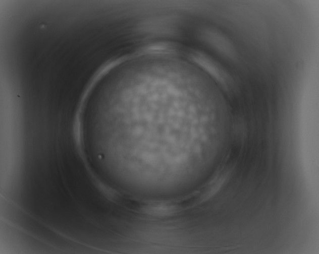 X0000101471474200807071433