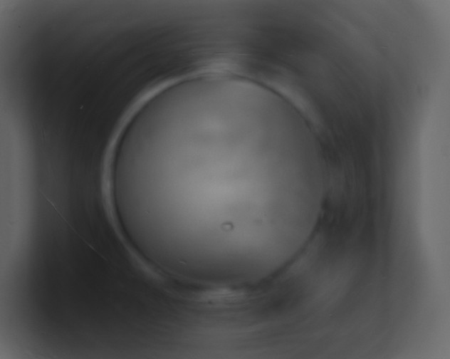 X0000101471478200807071433