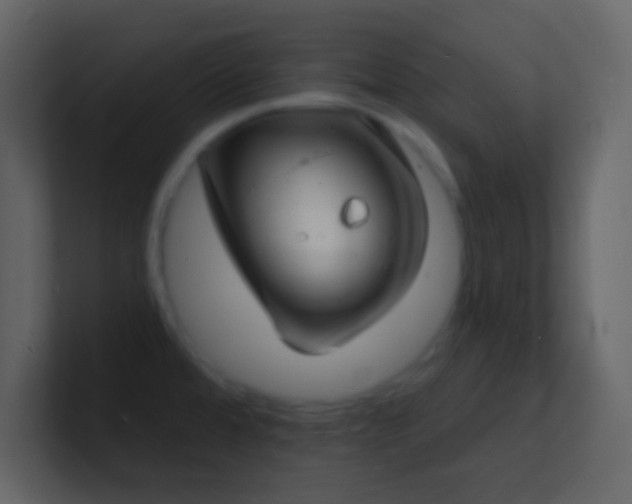 X0000101471480200807071433