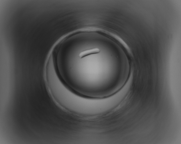 X0000101471484200807071433