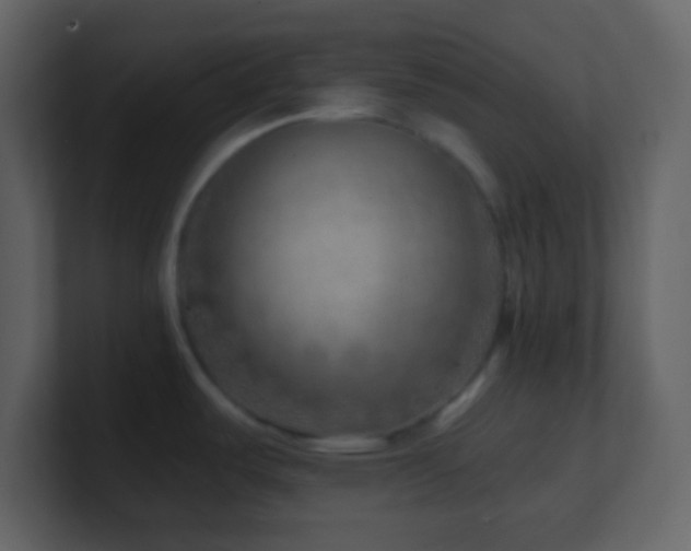 X0000101471487200807071433