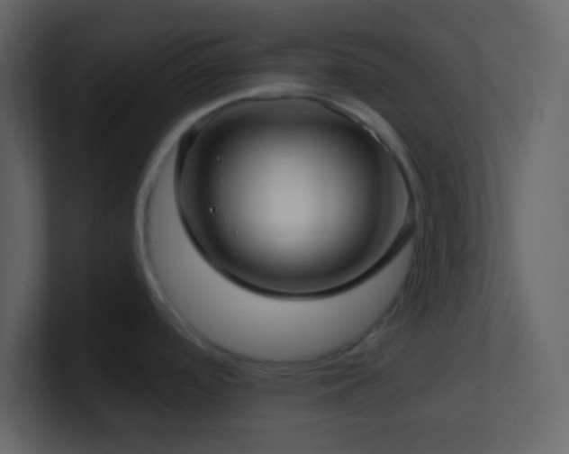 X0000101471488200807071433