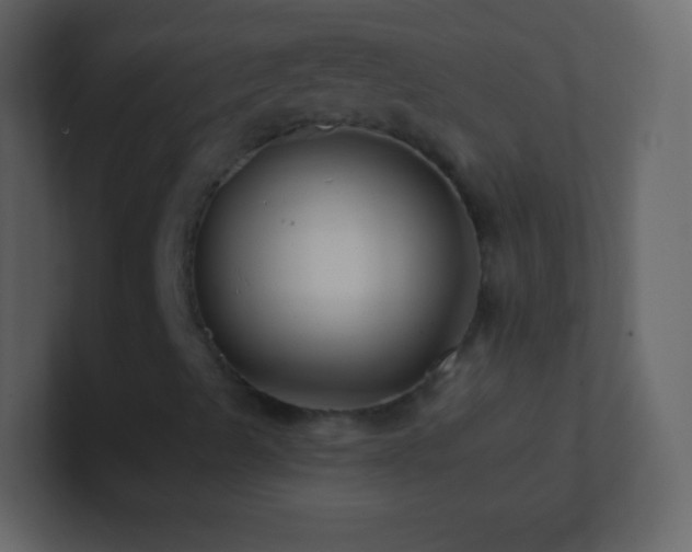 X0000101471489200807071432