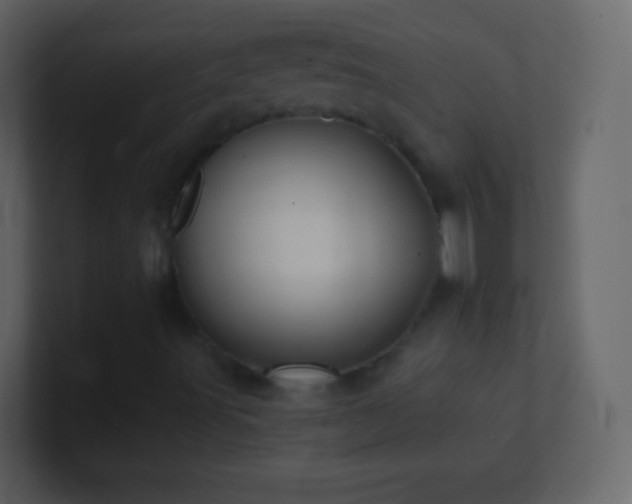 X0000101471491200807071432