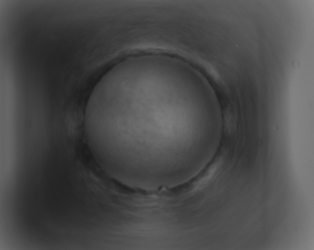 X0000101471494200807071432