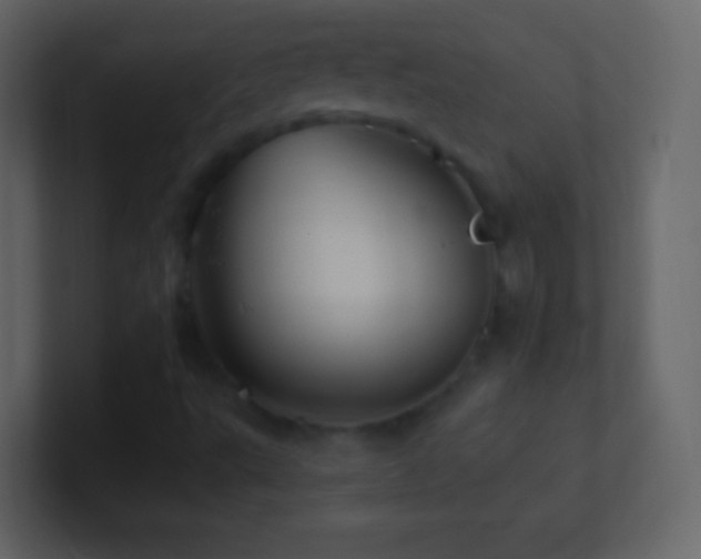 X0000101471495200807071432