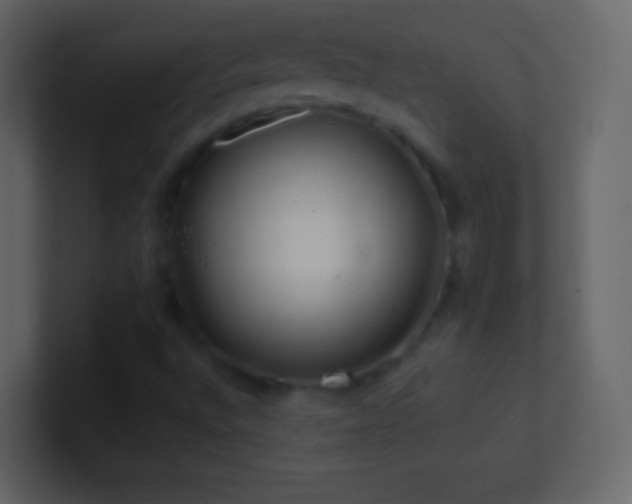 X0000101471496200807071432