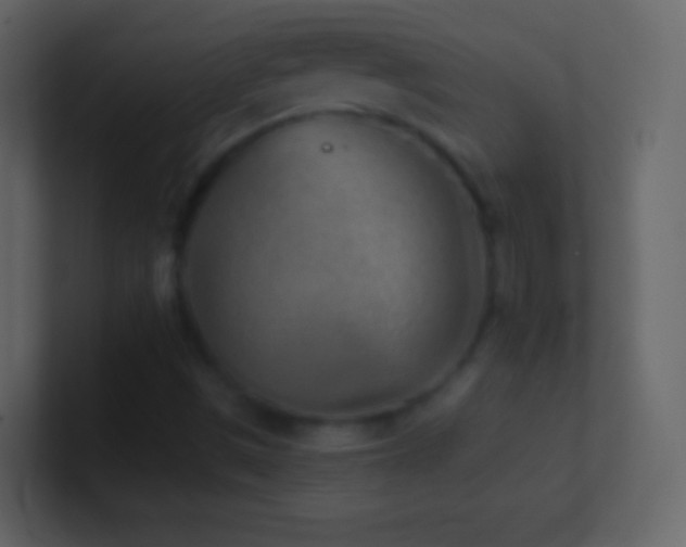X0000101471497200807071432