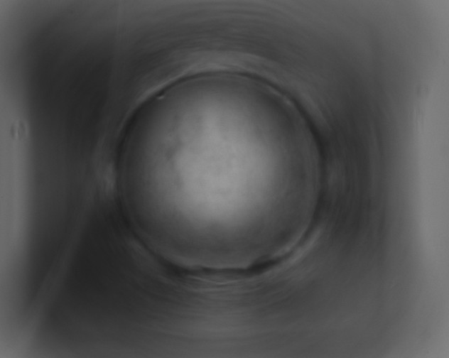 X0000101471505200807071432