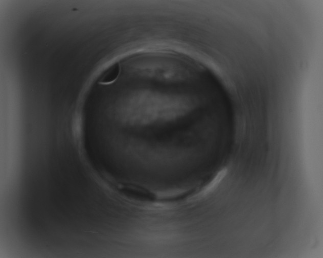 X0000101471506200807071432