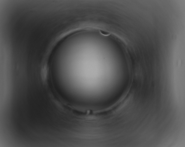 X0000101471507200807071432