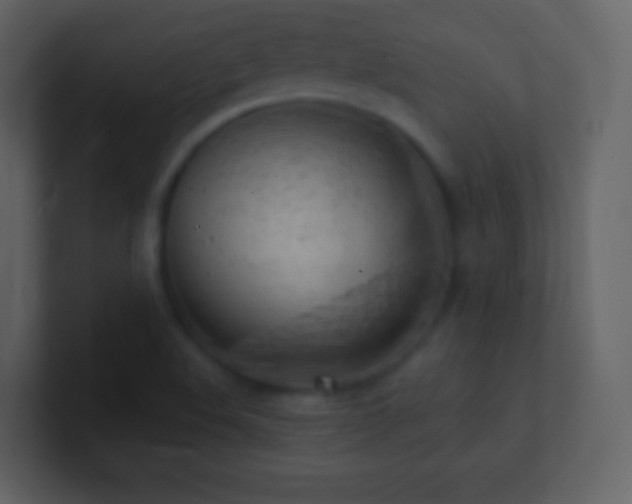 X0000101471508200807071432