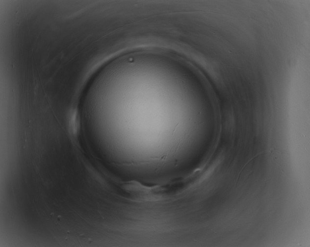 X0000101471509200807071432