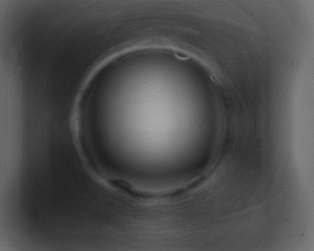 X0000101471519200807071433